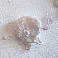 Chicken Slaughter, detail