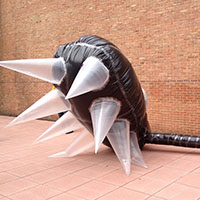 Inflated Form