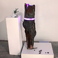 Flexible Mold: Mixed Media Project